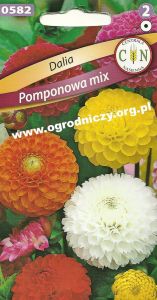 Dalia Pomponowa mix